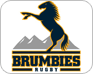 Brumbies Rugby